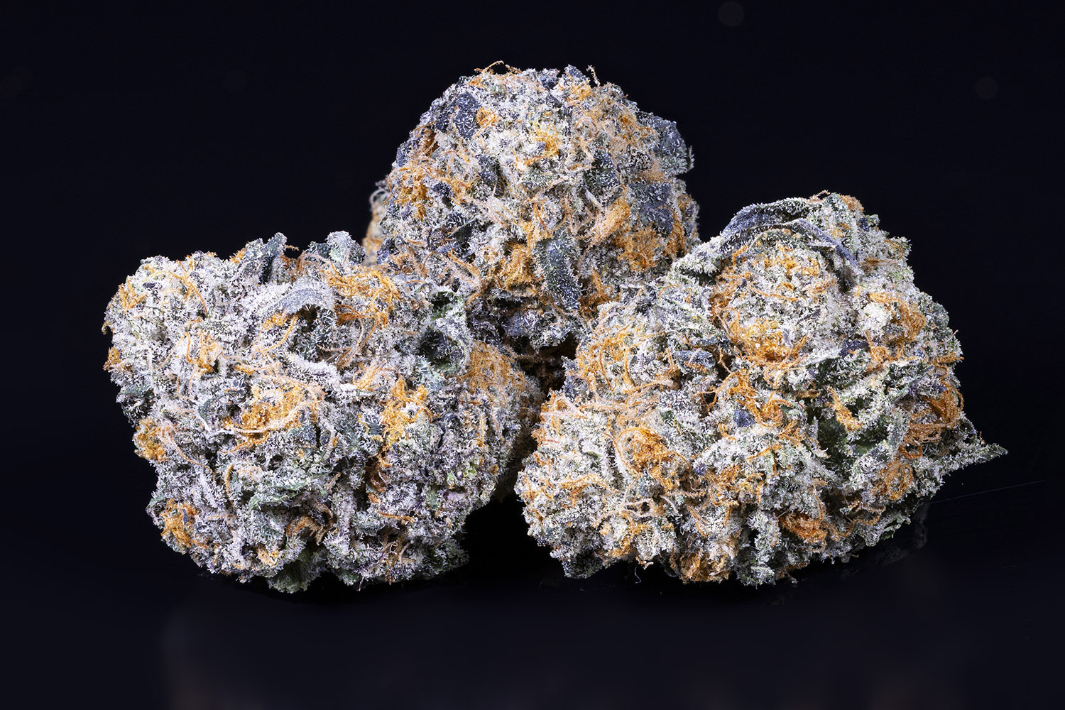 Photograph of product: Gelato 41 - Bulk Flower - 7g