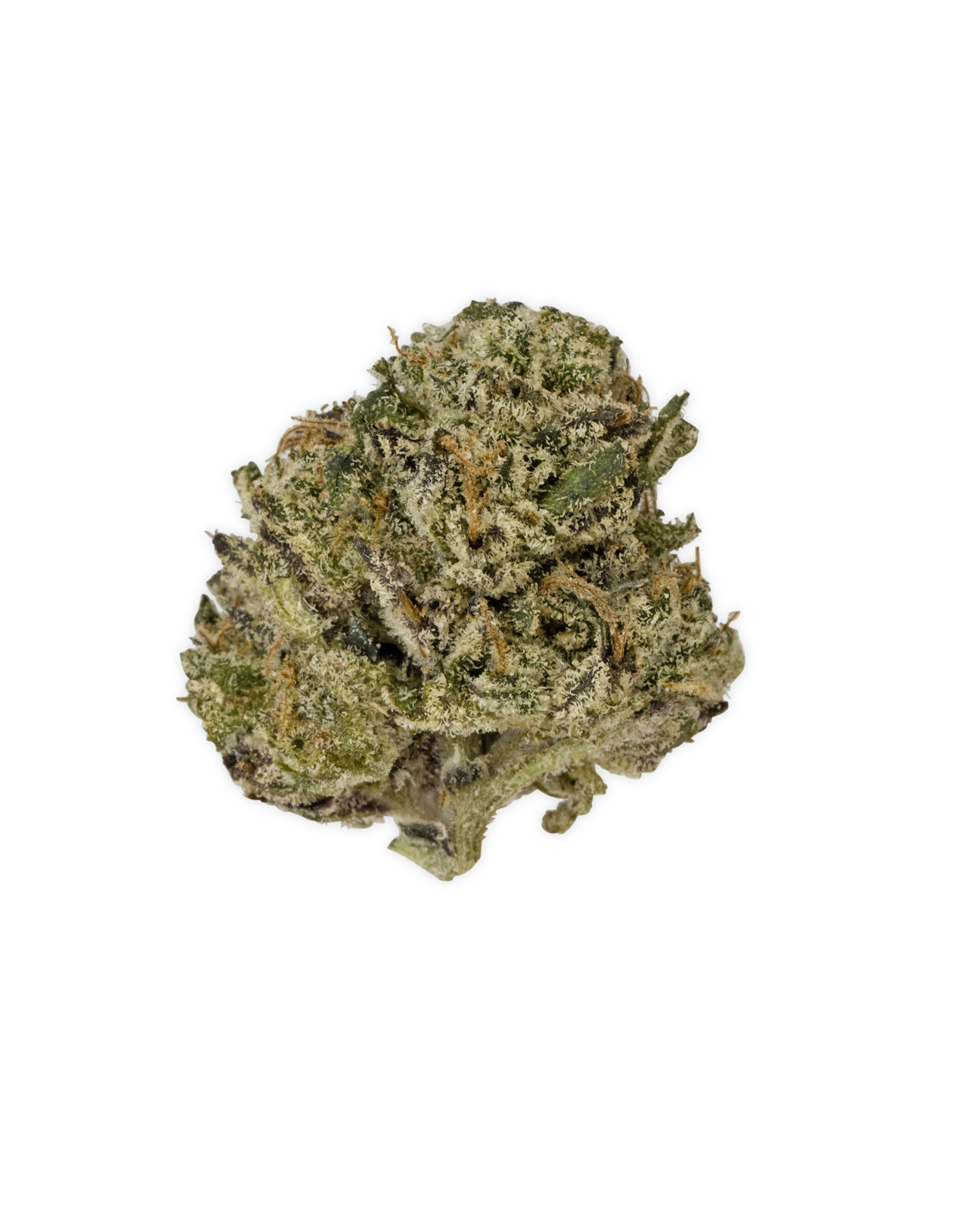 Photograph of product: Indoor SHERB CREAM PIE | 14 g Mixed Buds - 14g