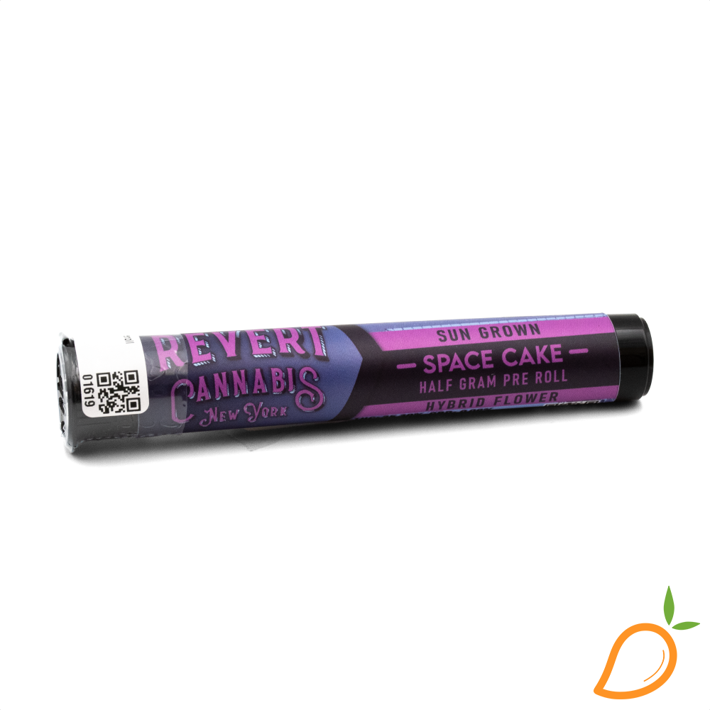 Photograph of product: 0.5g Space Cake Preroll Revert