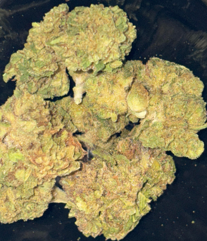 Photograph of product: DEWEY CRACK | FLOWER - 3.5g
