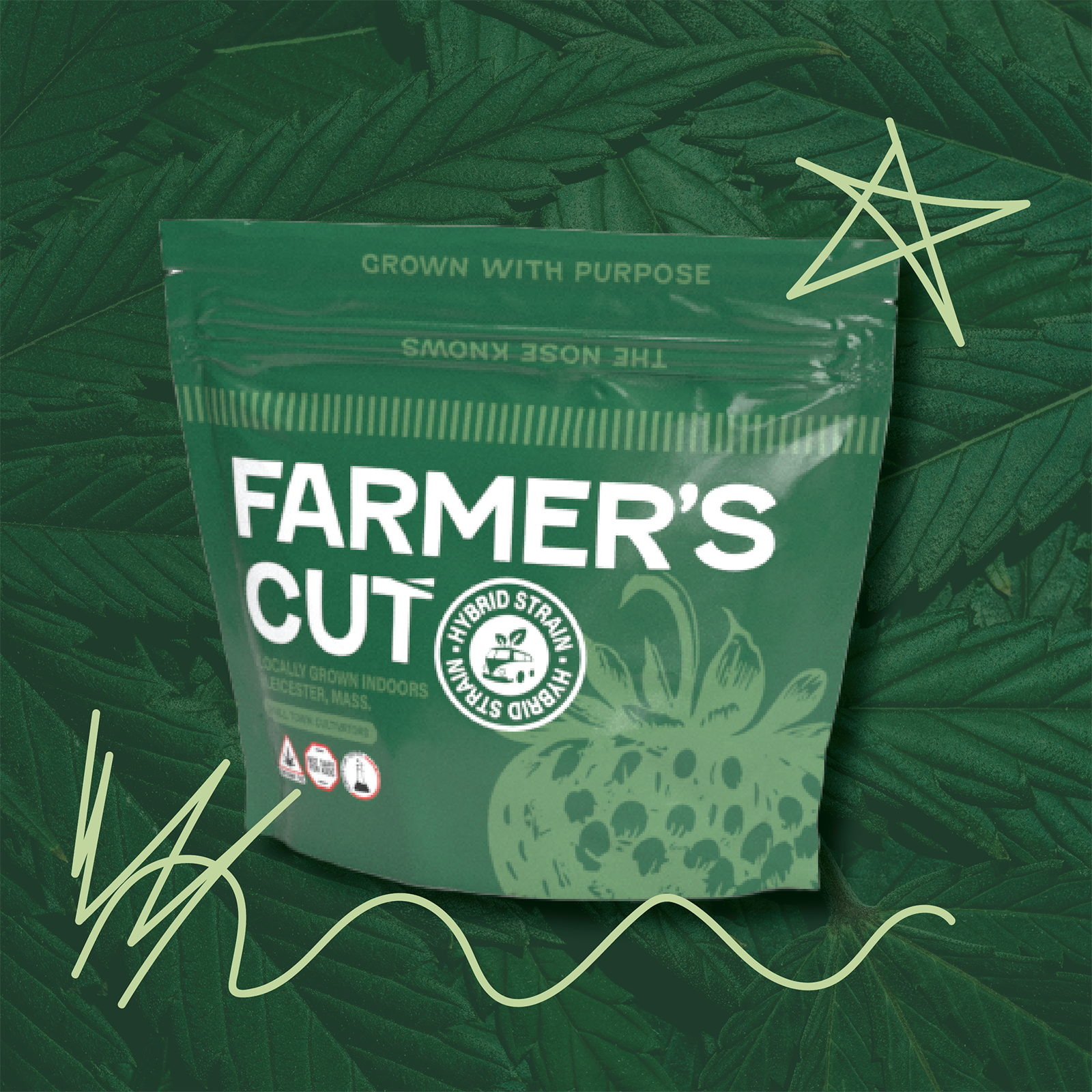 Photograph of product: Aqua Dulce Flower | 3.5g - Farmer's Cut