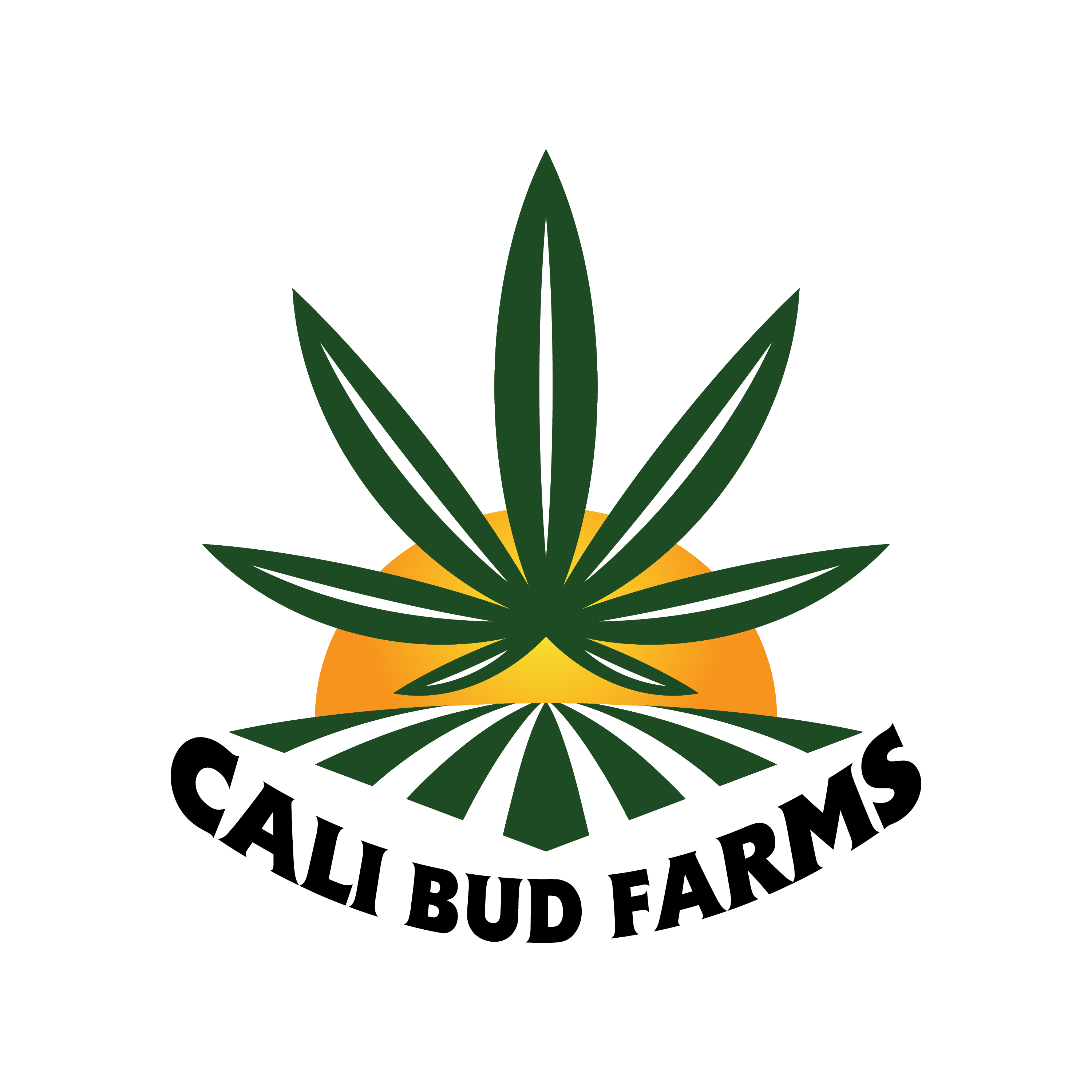 Photograph of product: CALI BUDS | CALI OG | FLOWER - 1g