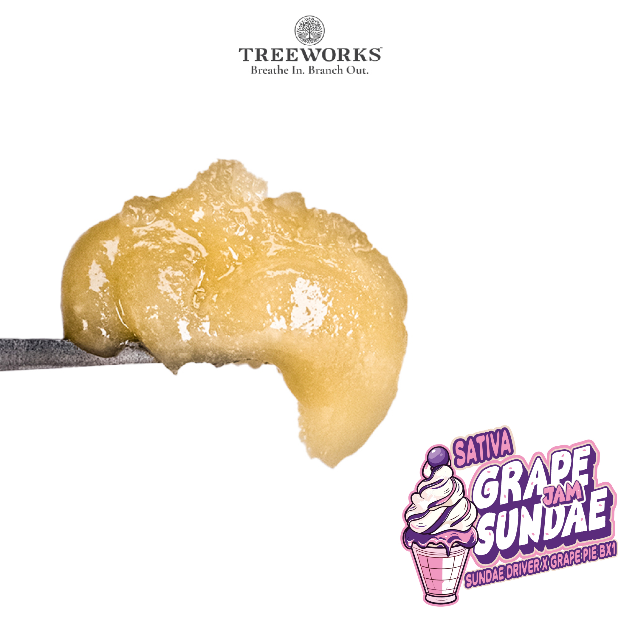 Photograph of product: Grape Sundae | Live au chocolat Rosin Dab - Jam | 1g