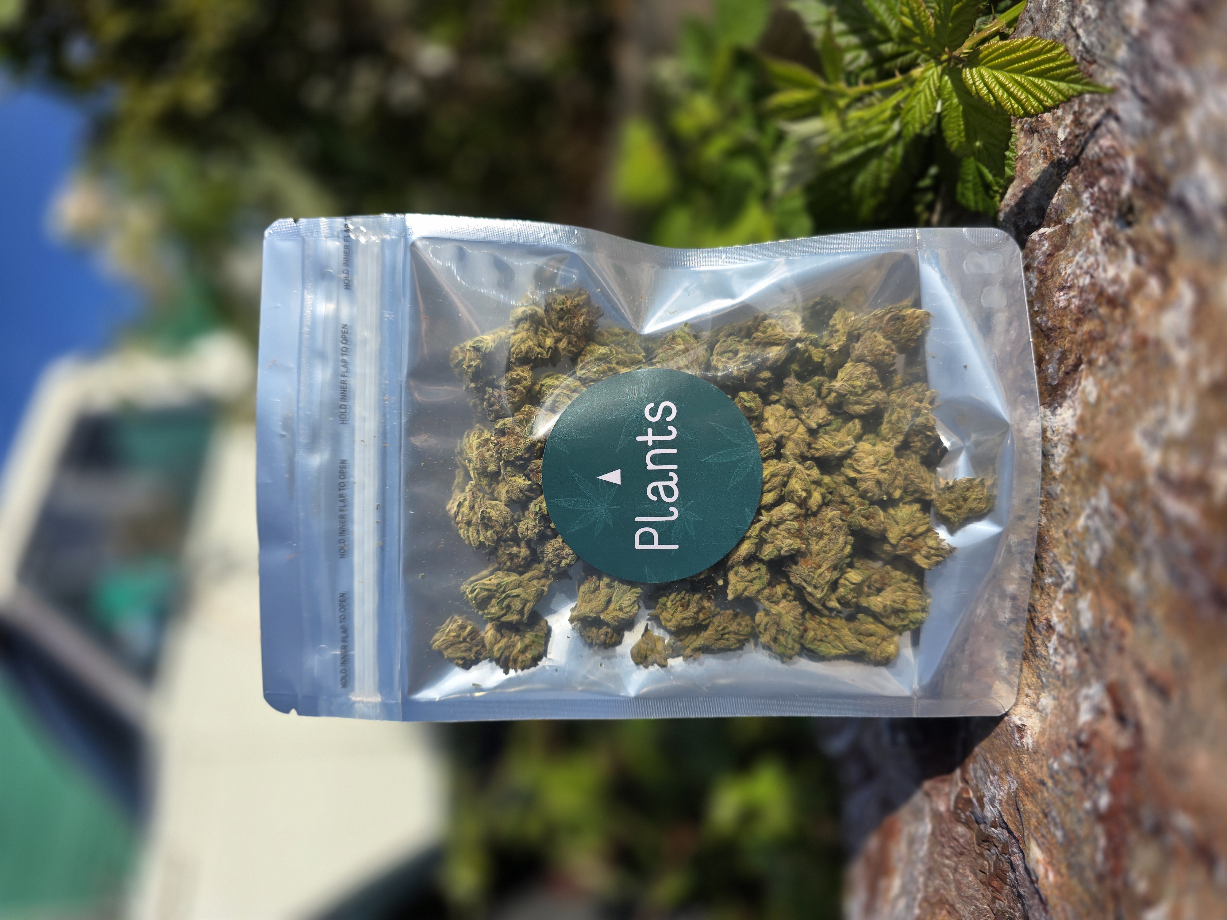 Photograph of product: P-18 SMALLS 3.5G