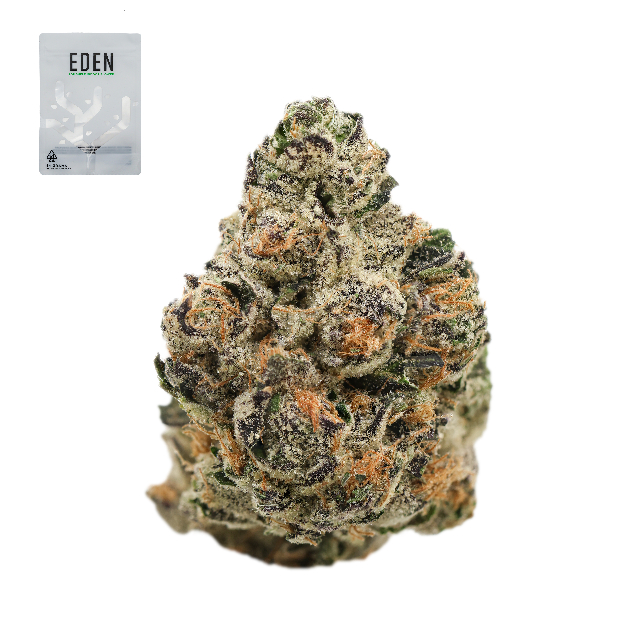 Photograph of product: PINK KITTY 14G