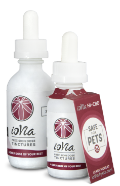 Photograph of product: ioVia - Tincture - HI-CBD Blend (20:1) (CBD:TH-oui) 10mg