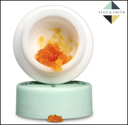 Photograph of product: SS | LR | Angry Orange (S)