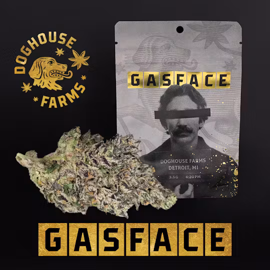 Photograph of product: Dog House | Gas Face - 28g