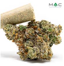 Photograph of product: MASS ALTERNATIVE CARE | PB N' CHOCOLATE (I)