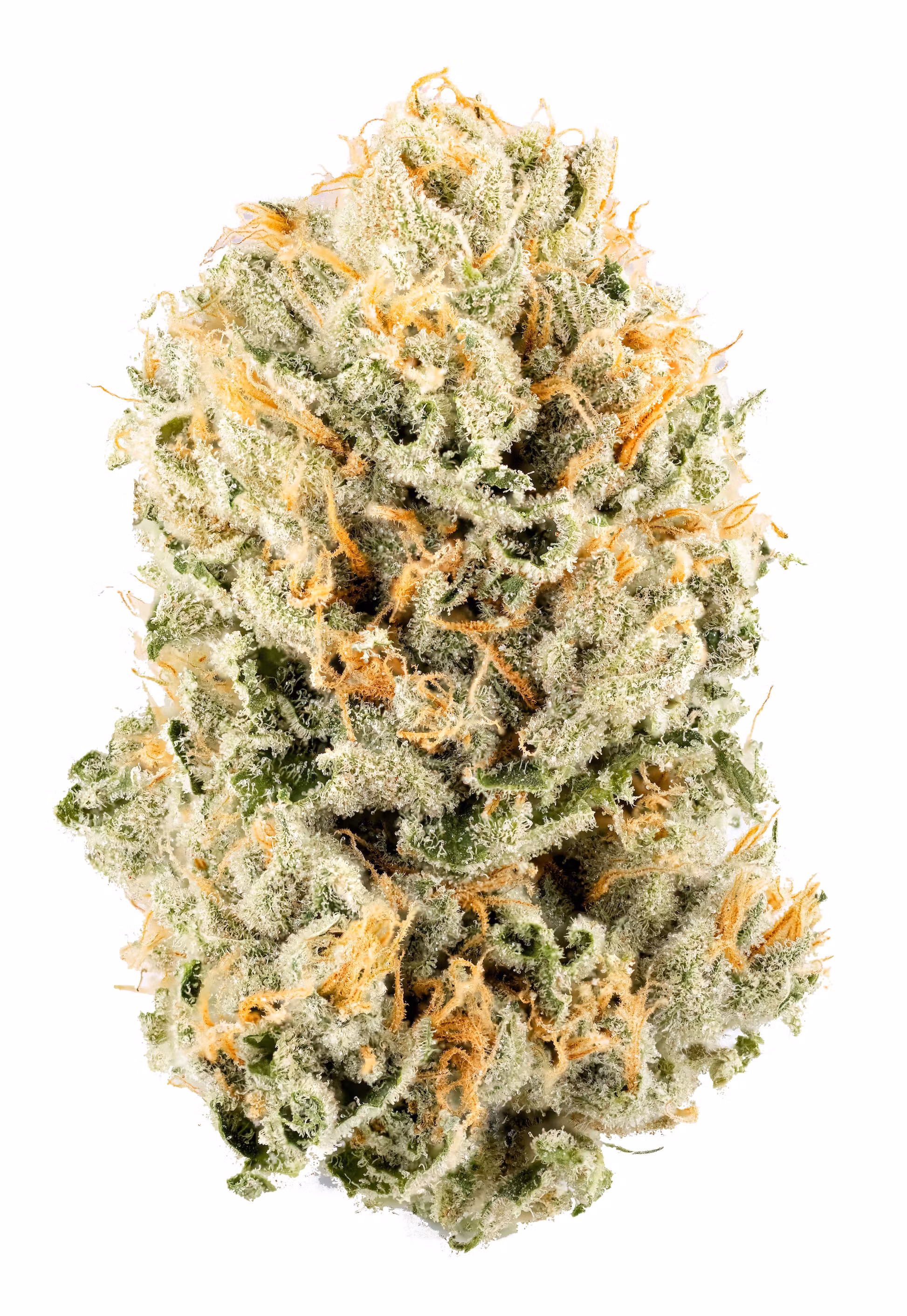 Photograph of product: Flower - Honolulu Strange - 3.5g