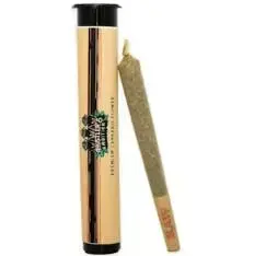 Photograph of product: 9lb Blueberry Pre-Roll 1g