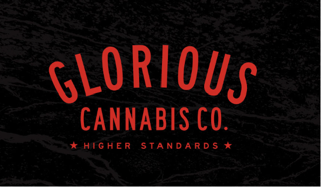 Photograph of product: Glorious | G25 X Do Si Dos | Flower - 3.5g