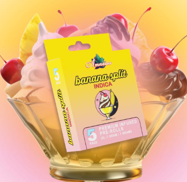 Photograph of product: Amnesia: Banana Split Multi-Pack Infused Pre-Rolls (5x0.7g)