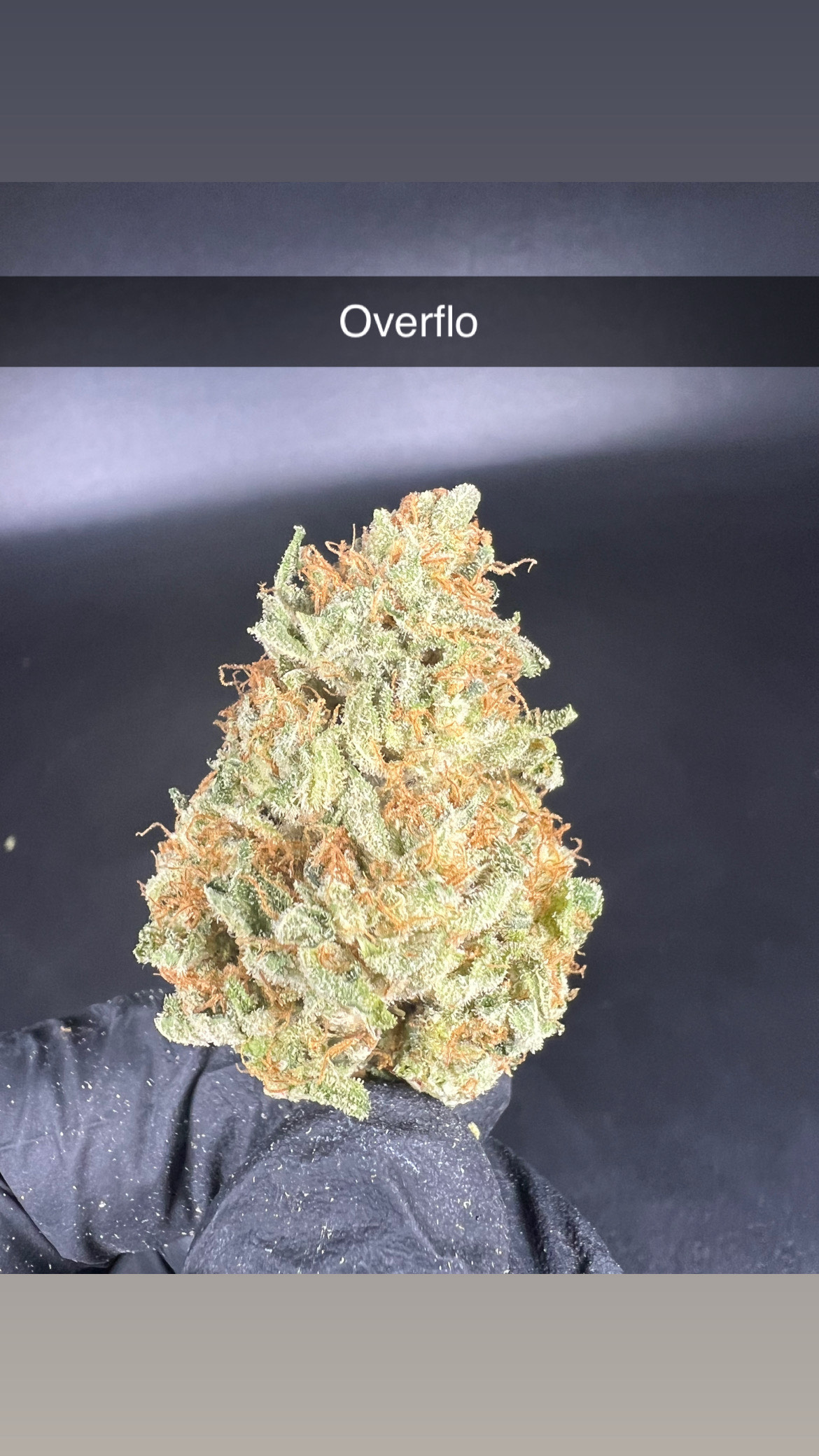 Photograph of product: Overflo - Flower - Hybrid - 28g