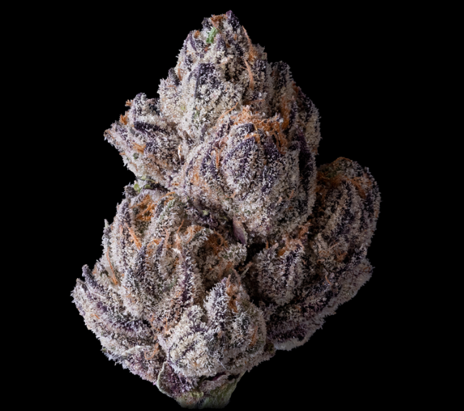 Photograph of product: Lipsmakerz - Half