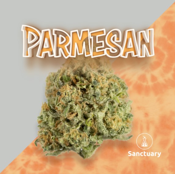 Photograph of product: Small Bud | Parmesan | 3.5g