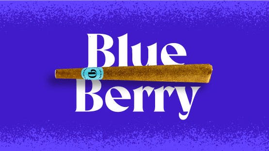 Photograph of product: INFUSED Blueberry Joint - 1 Pack
