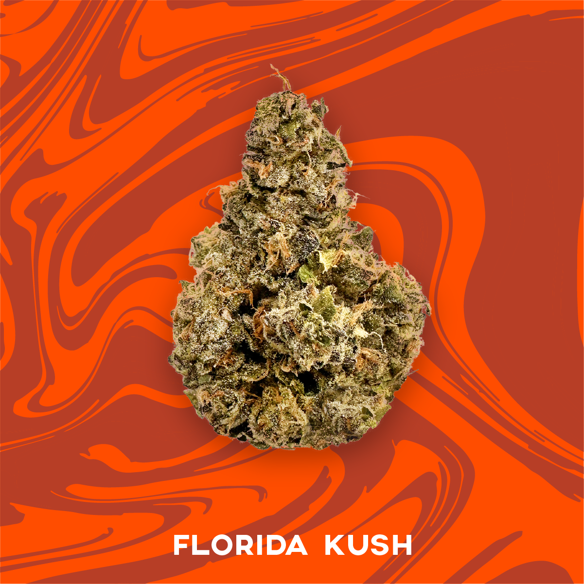 Photograph of product: Vivid: Flower | Florida Kush | 3.5g
