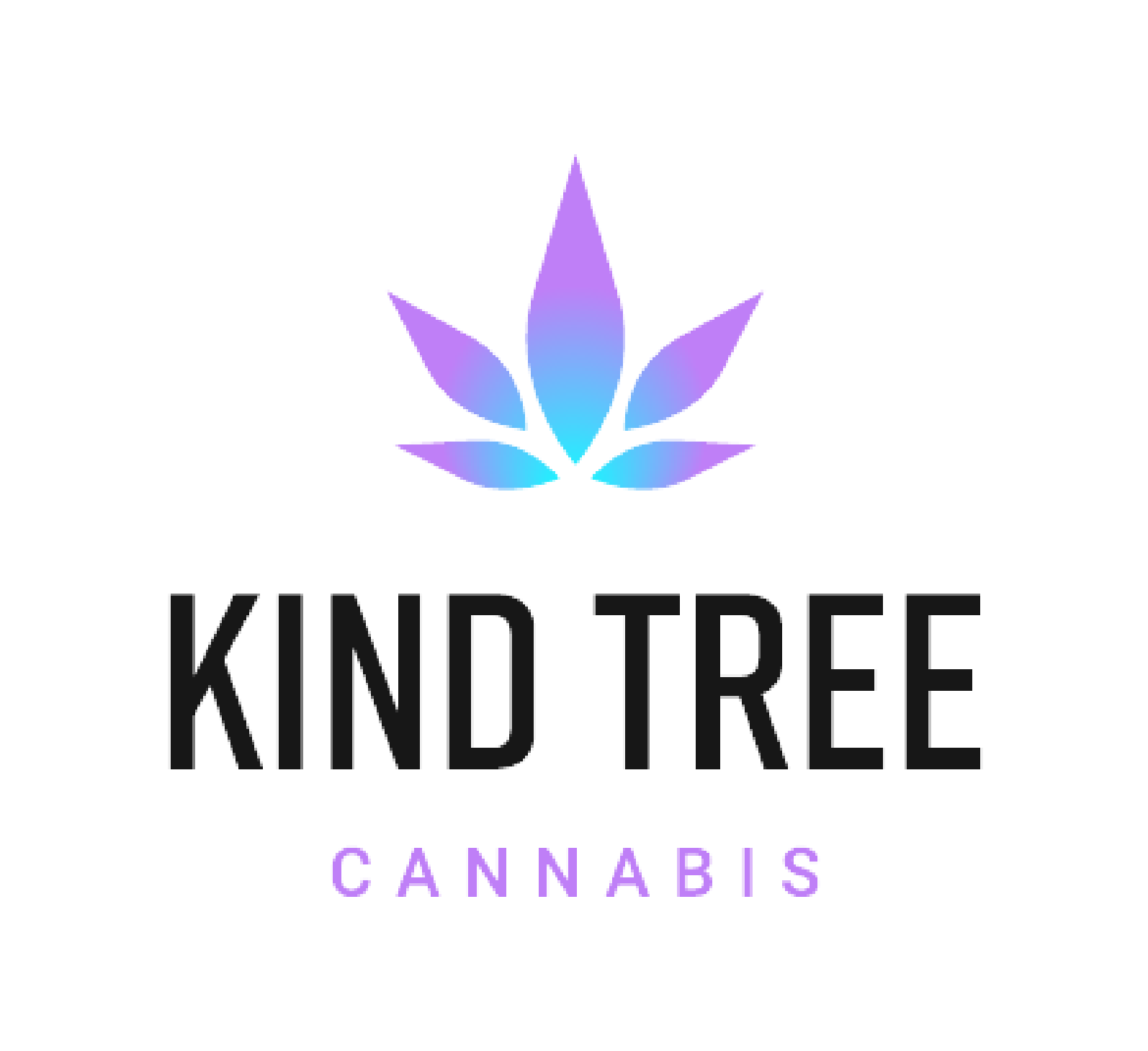 Photograph of product: Kind Tree PB Souffle x Tri-State Black Banana Live Sugar