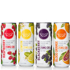 Photograph of product: Sparkling Water | Blackberry | CBD | 50mg