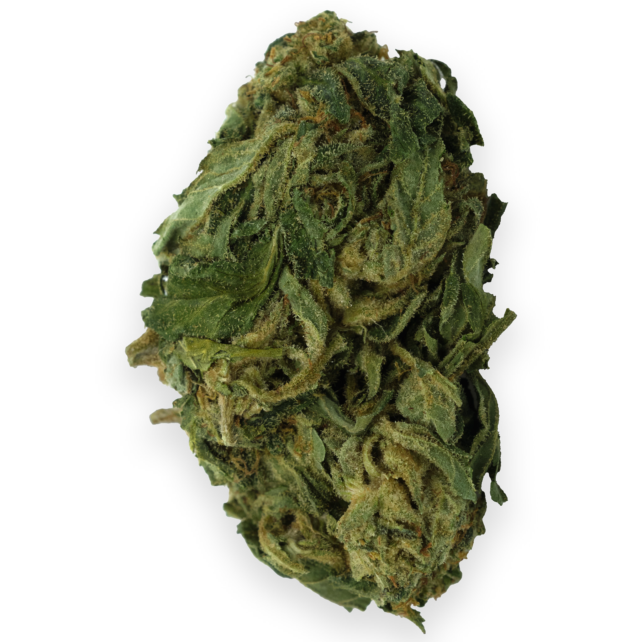 Photograph of product: Tangie Banangie Outdoor - 28g