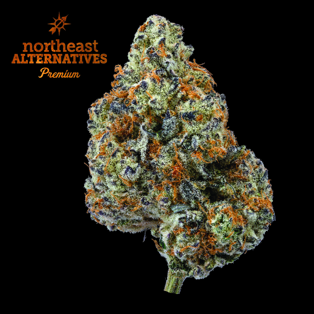 Photograph of product: Punch Breath (H) - 3.5g