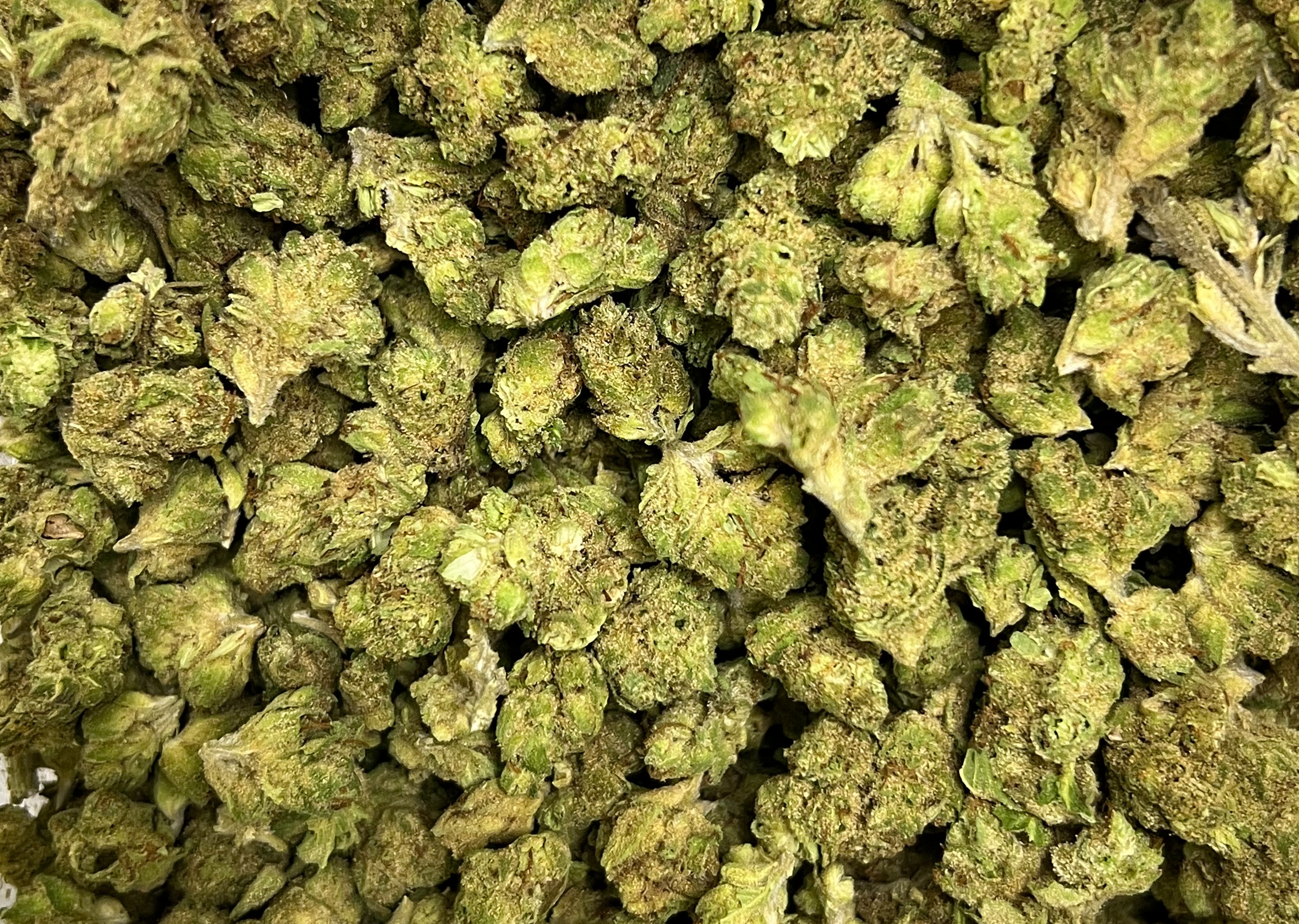 Photograph of product: Bronze Deli - Lemon Cherry Gelato - 28g