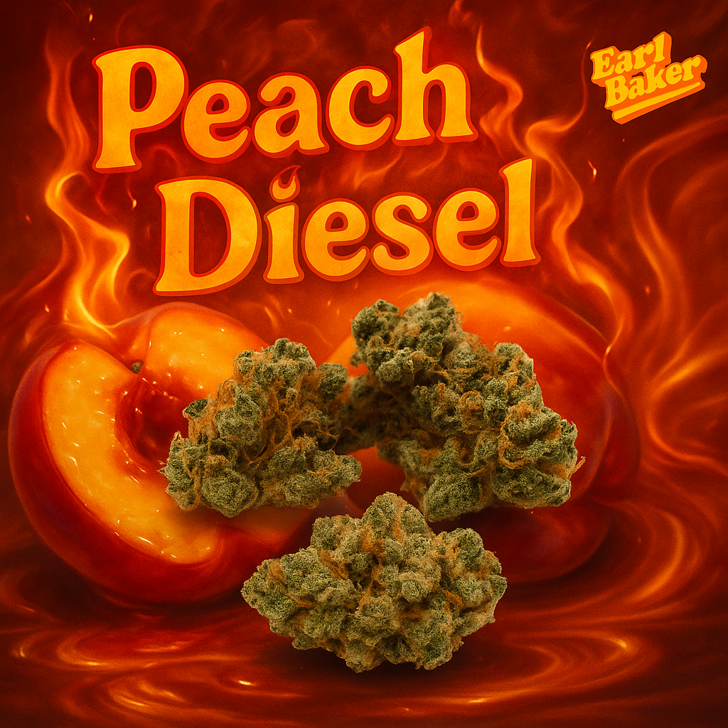 Photograph of product: Earl Baker Peach Diesel Whole Flower 24.11% (S) 3.5g - 00054