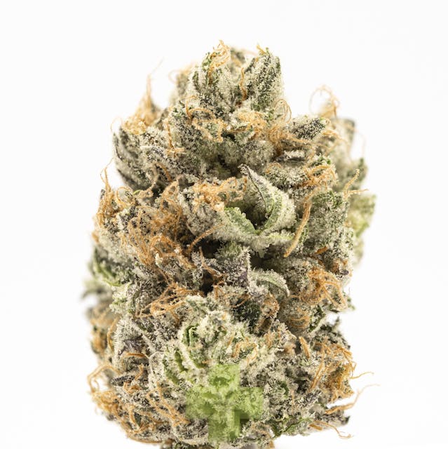 Photograph of product: Brainwash - Eighth