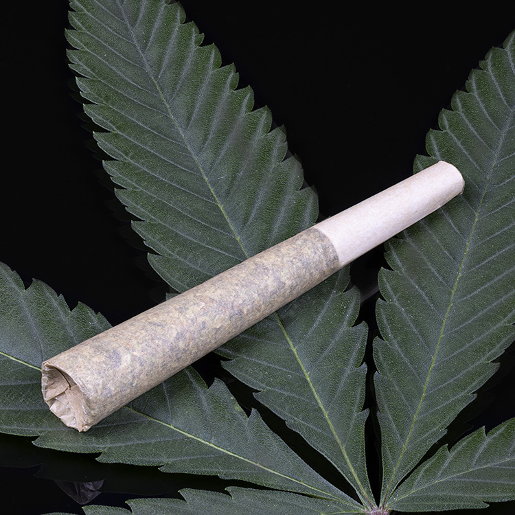 Photograph of product: 10pk - Honey Banana - Pre-Rolls