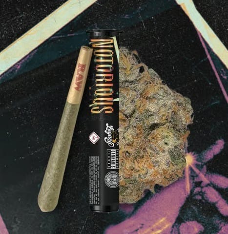 Photograph of product: Notorious #1 Pre-Roll 1g