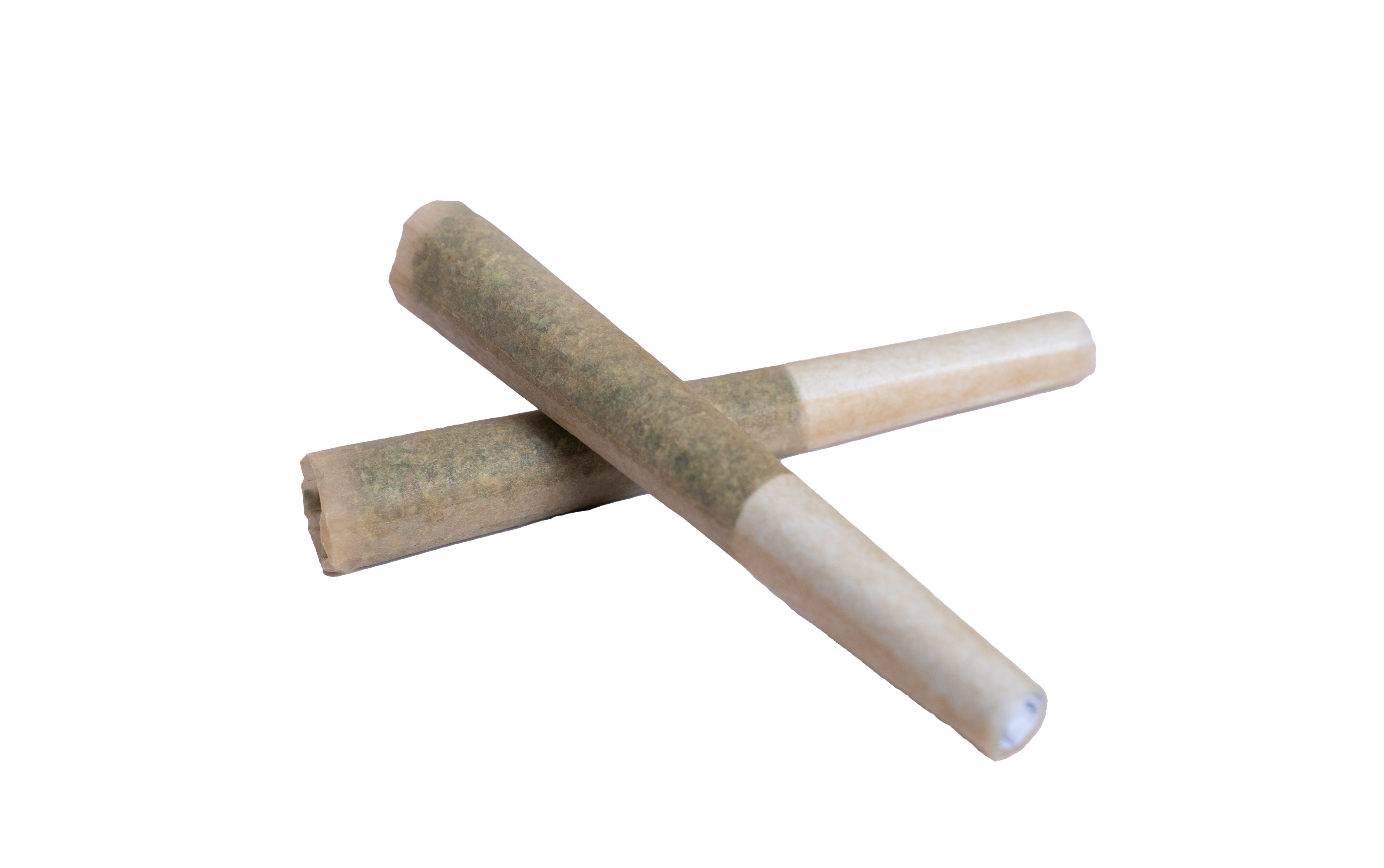 Photograph of product: Bonsai | Joint | 2 x 0.5G | Creativity Joint | Hybrid