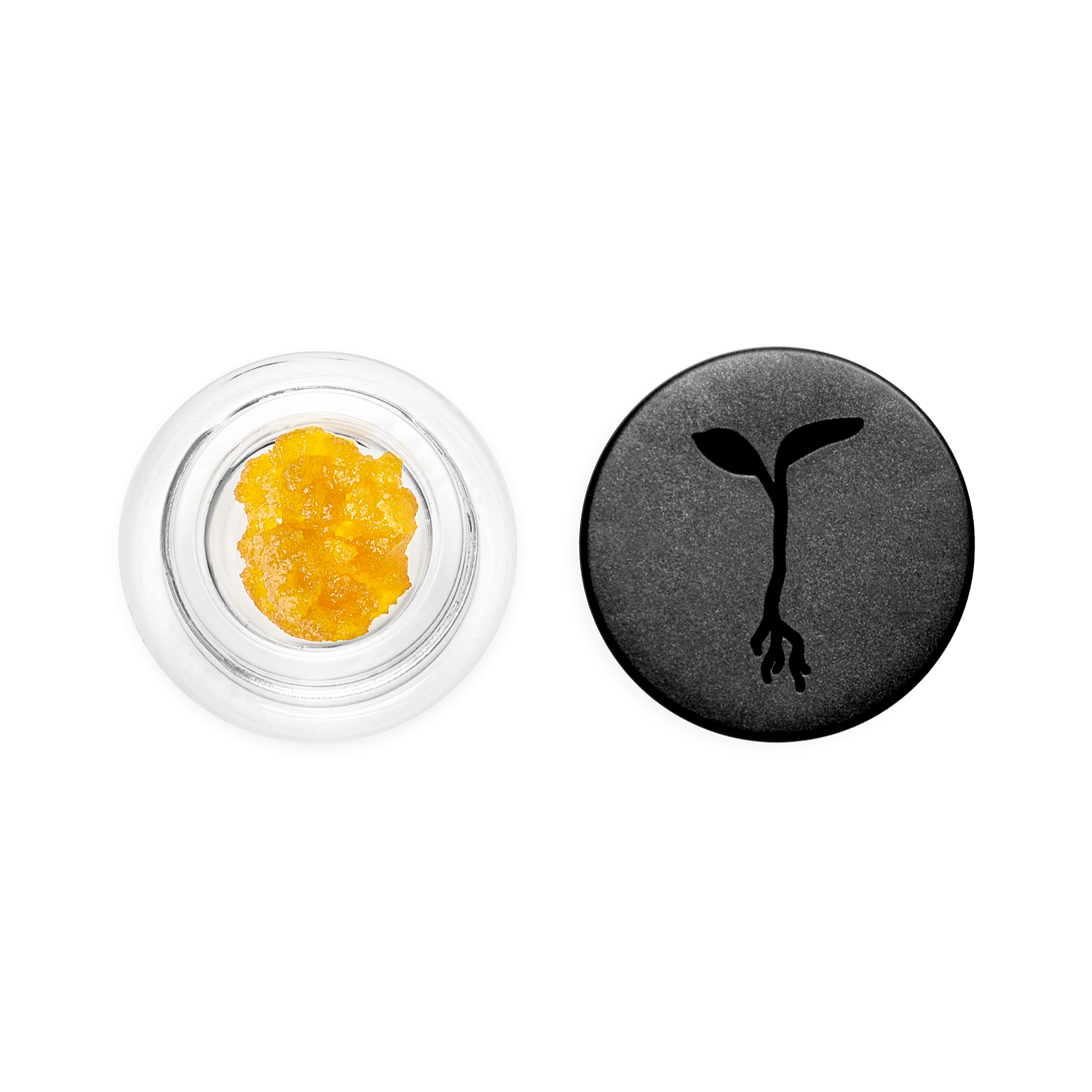 Photograph of product: Raw Garden-Kimbo Cookies 1.0g Live Resin