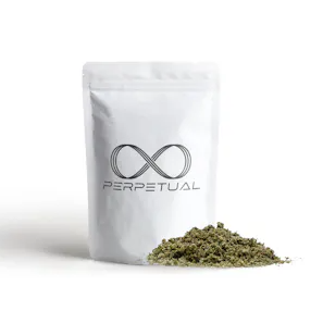 Photograph of product: Perpetual Gary Payton Ready to Roll - 28g