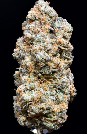 Photograph of product: SH Paul's White Montage Flower - 3.5g