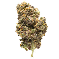 Photograph of product: $10 1g - Nuclear Sunset - PMC