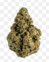 Photograph of product: Golden Garden Whole Flower | 3.5g | Dulce De UVA