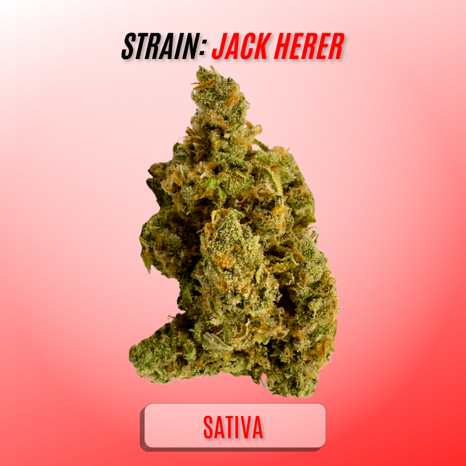 Photograph of product: Jack Herer (PRUF Cultivar) $10/g - 28g