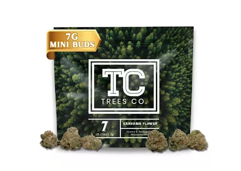 Photograph of product: Melonade Gibson | Popcorn | 7g | Trees Co.