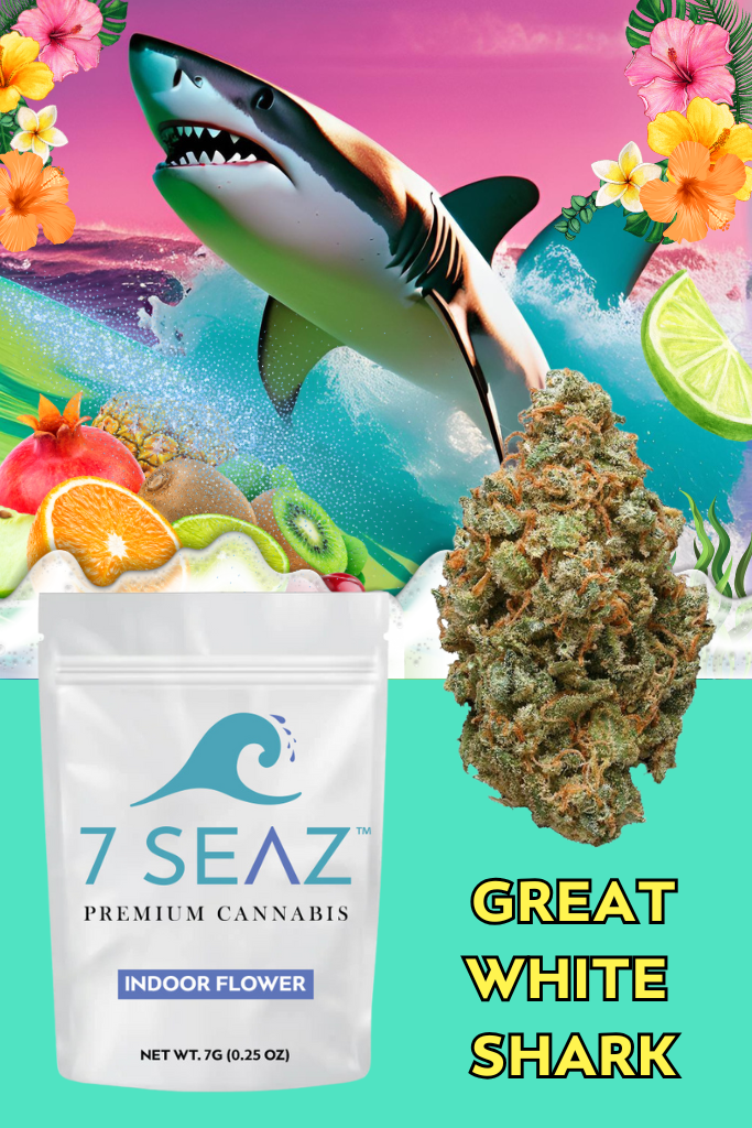 Photograph of product: Great White Shark Flower | 7SEAZ - 7g