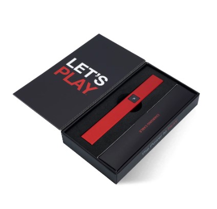 Photograph of product: Plug and Play Red Steel Battery