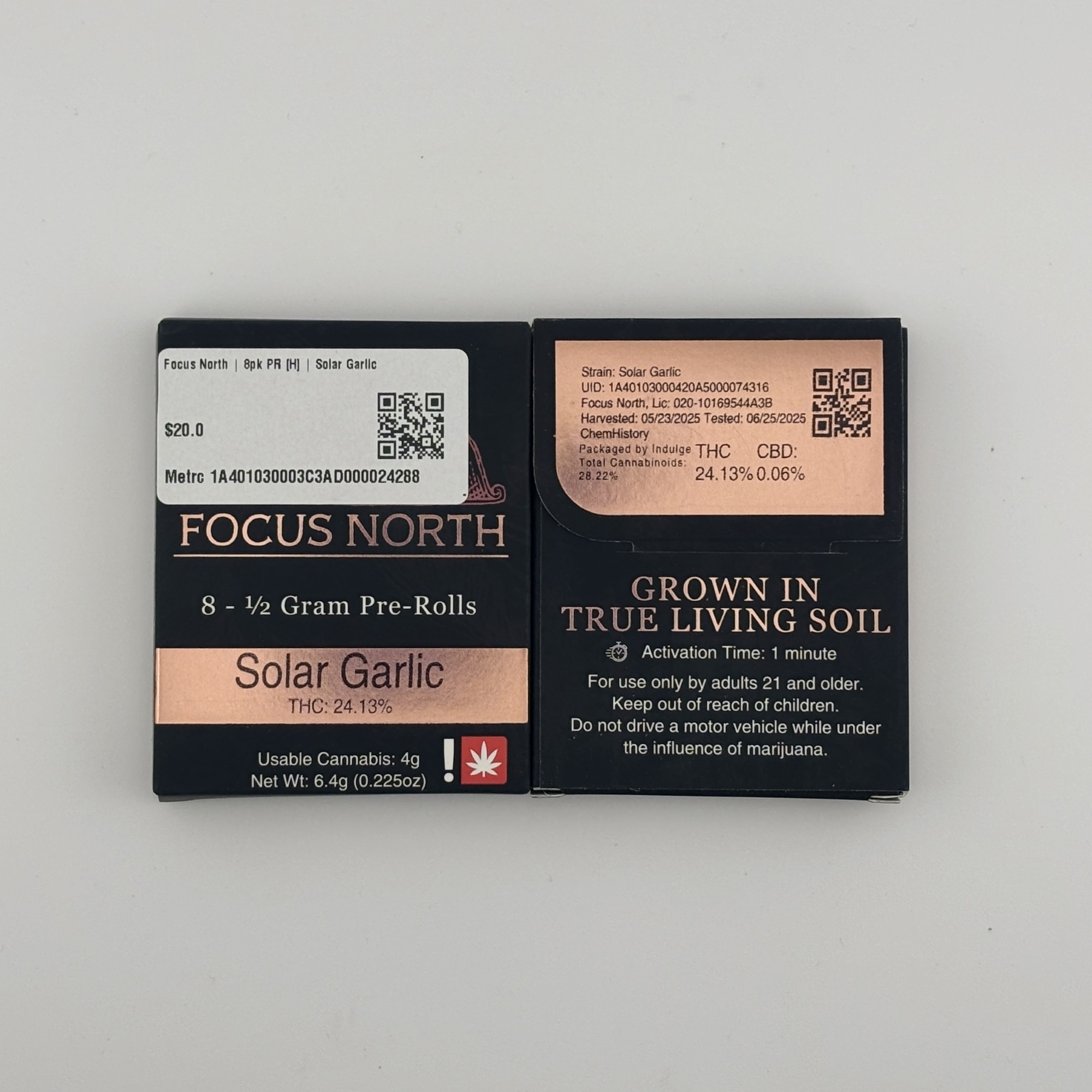 Photograph of product: Focus North | 8pk PR [H] | Solar Garlic