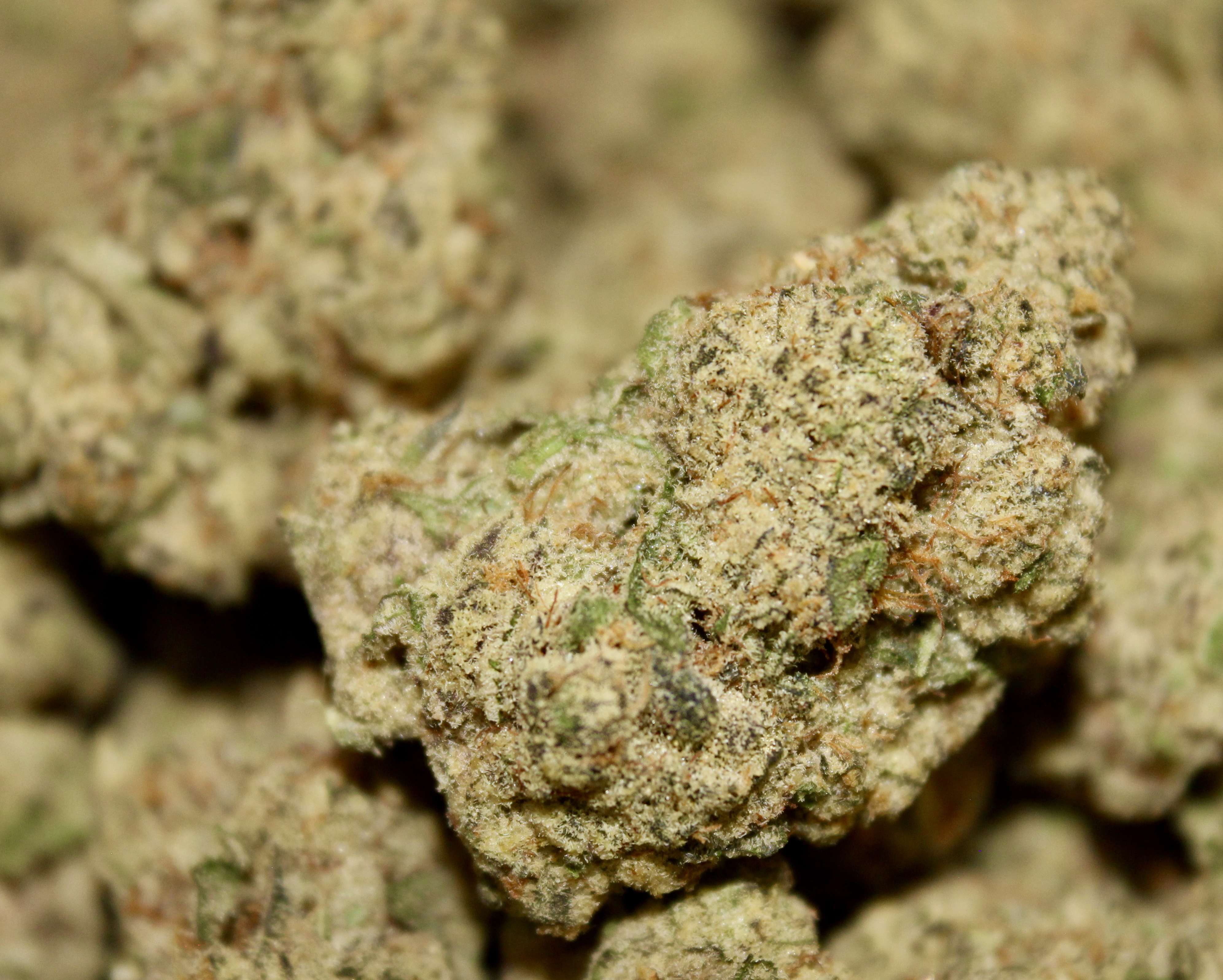 Photograph of product: SOAP (S)