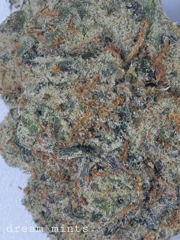 Photograph of product: Dream Mints 27% by CannaDMG