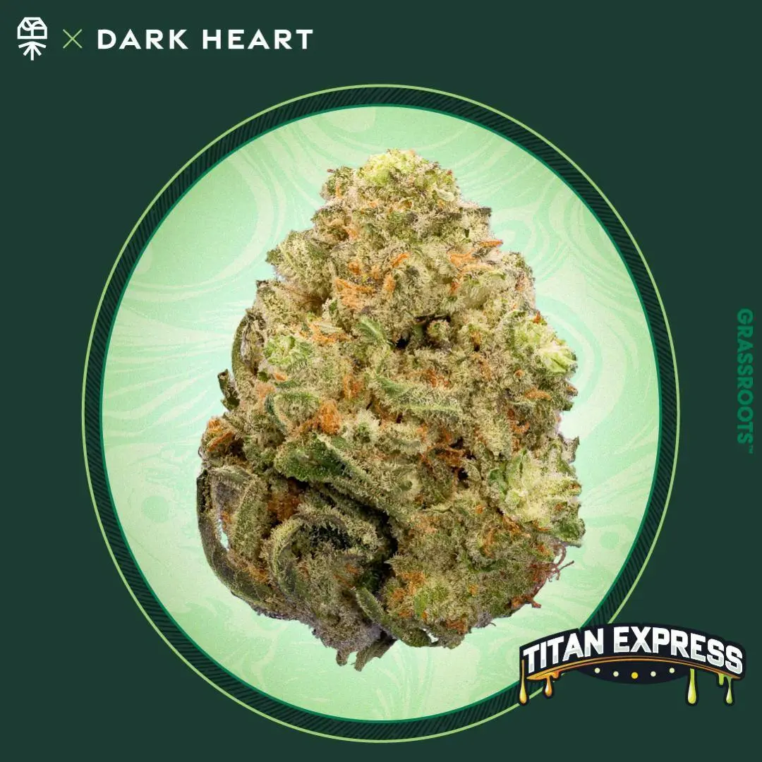 Photograph of product: Grassroots Flower Titan Express Oui'd 3.5g