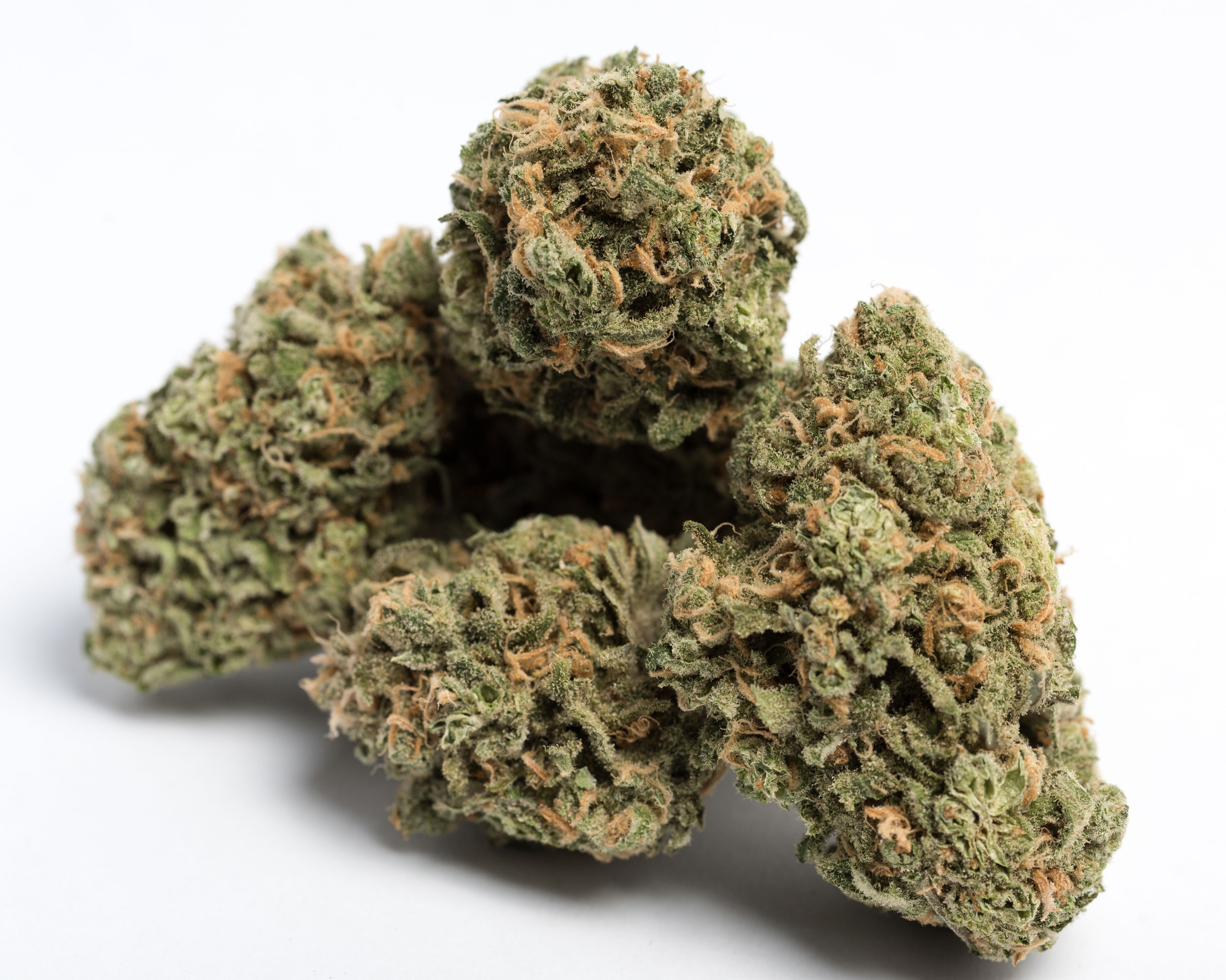 Photograph of product: Blue Dream - 14g