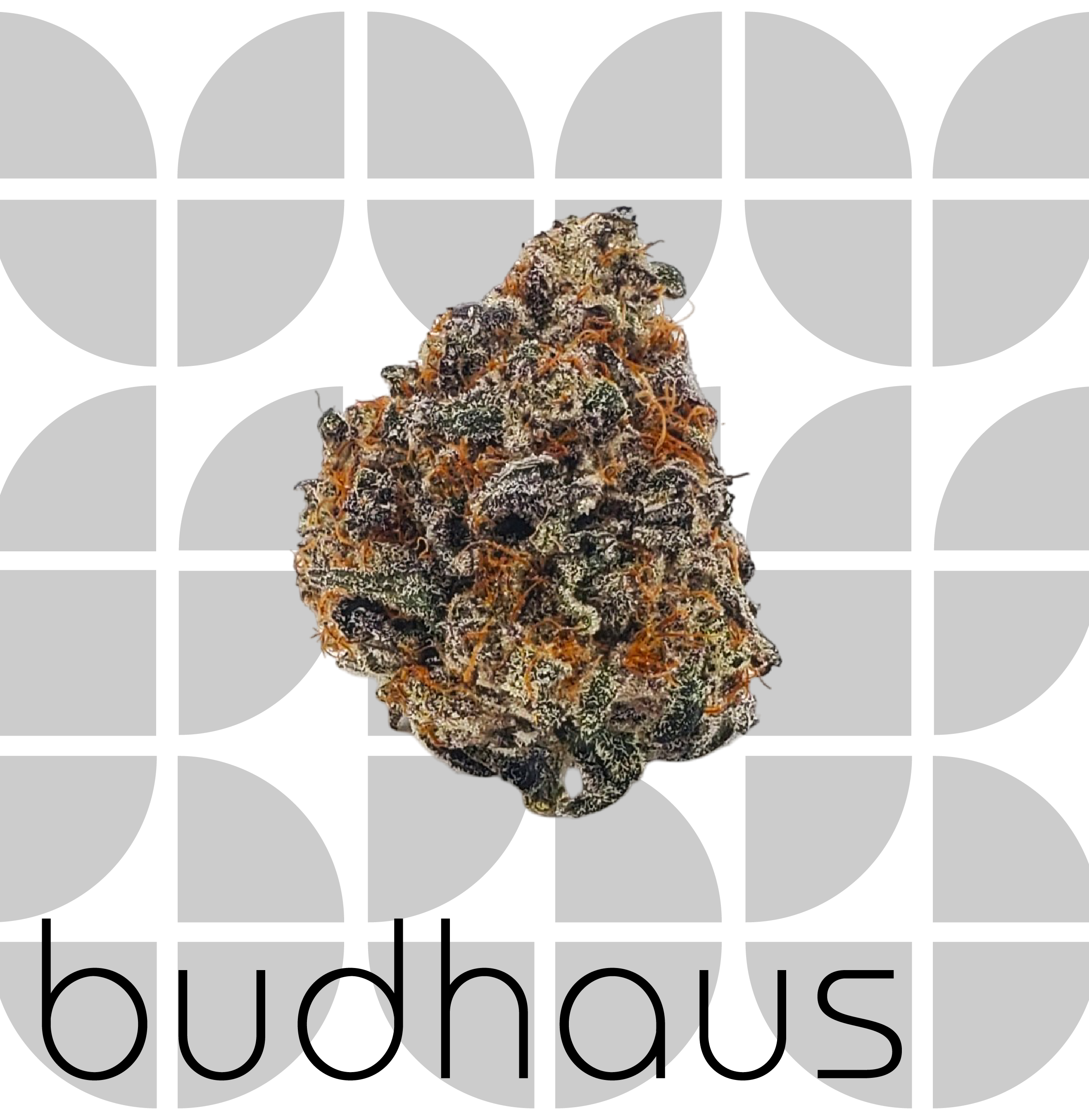 Photograph of product: Lava Dawg - Half Ounce - 14g