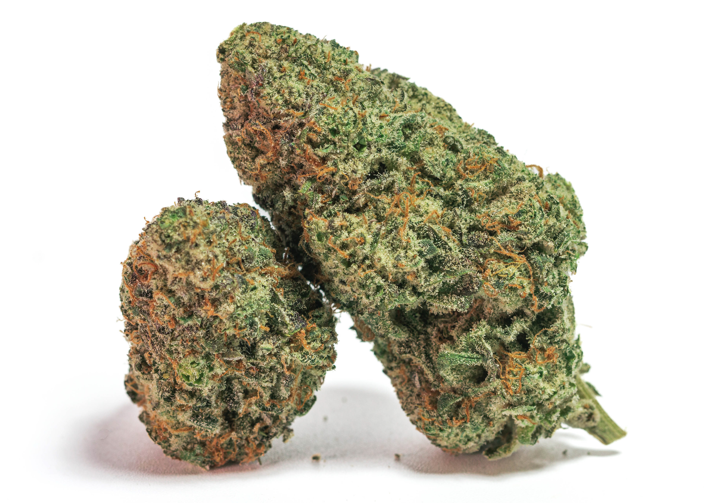 Photograph of product: Pineapple Breeze - Craft Indoor - 28g