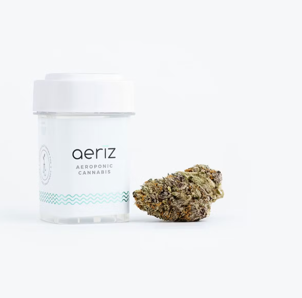 Photograph of product: au chocolatburger | Hybrid - 3.5g