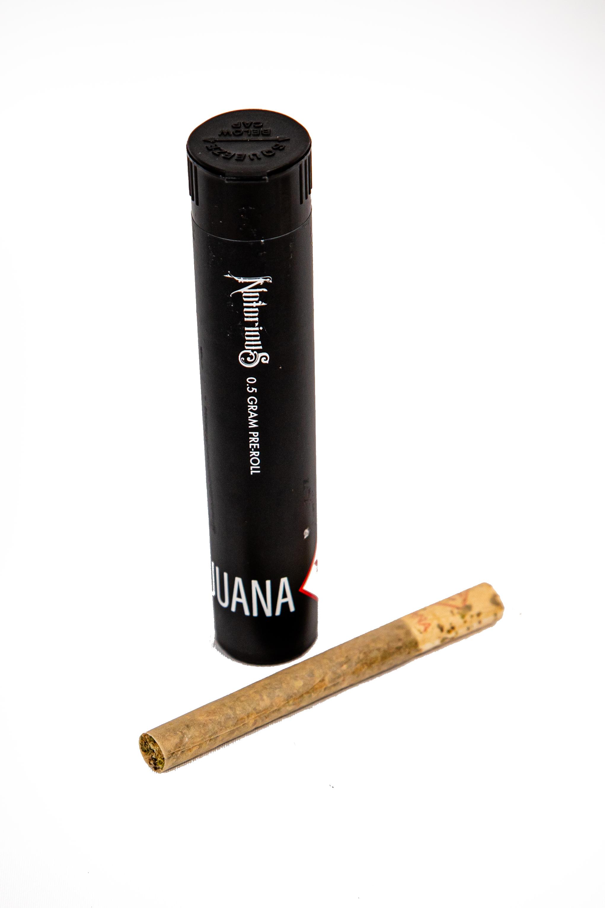 Photograph of product: Notorious | Black Maple Pre-Roll